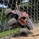 thumbnail image 3 of Camión Monstruo Losi Mini LMT 4x4 RTR Rojo LOS01026T4, 3 of 9