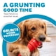 thumbnail image 3 of Juguete para perros Outward Hound Grunt Fetch Stick Bunny Red, 3 of 8