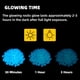 thumbnail image 5 of NAMTSO Piedras solares azules que brillan en la oscuridad para exteriores, 500 piezas, 5 of 8