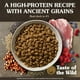 thumbnail image 2 of Alimento Taste of the Wild Ancient Prairie Bisonte 2.3Kg, 2 of 2