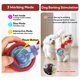 thumbnail image 3 of Juguete para perro BENTOPAL de 7,5 cm activado por movimiento con cuerda, 3 of 7
