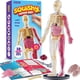 thumbnail image 1 of Kit científico Dan&Darci Modelo corporal blando de anatomía humana, 1 of 9