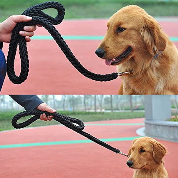 Conjunto de collar y correa para perro, correa de cuerda y collar de adiestramiento para perros pequeños, medianos y grandes.