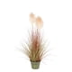 thumbnail image 1 of Grass con pluma blanca 70 cm, 1 of 1