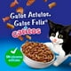 thumbnail image 2 of Alimento seco para gato FELIX® Megamix Gatitos 8kg, 2 of 4