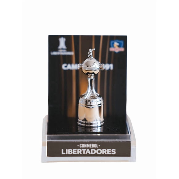 Copa Libertadores 6 Cms Colo Colo Caja Acrílico Original Milled