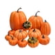 thumbnail image 5 of 12 Piezas De Calabazas Artificiales De Otoño De Color Naranja Para Decoración Del Hogar, 5 of 5