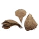 thumbnail image 3 of 10 Uds. De Hojas Naturales De Betta Para Peceras, Acuarios, Mascotas, 3 of 3