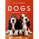thumbnail image 3 of Walter Chandoha. Dogs. Photographs 1941–1991, 3 of 10