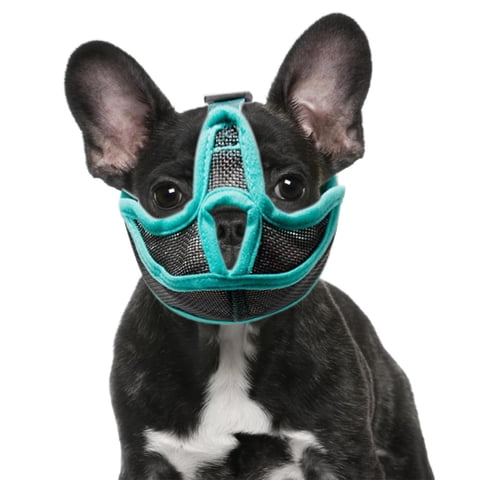 Xusx111 - Cubierta De Perro De Nariz Corta De Bulldog, Diseño De Pantalones Completos, Prevención De Mordeduras, Cubierta De Perro De Malla Suave De Bulldog, Usada Para Caminar De Belleza, Permitiendo