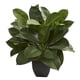 thumbnail image 1 of Planta artificial de ficus de roble casi natural para uso en interiores, 1 of 3