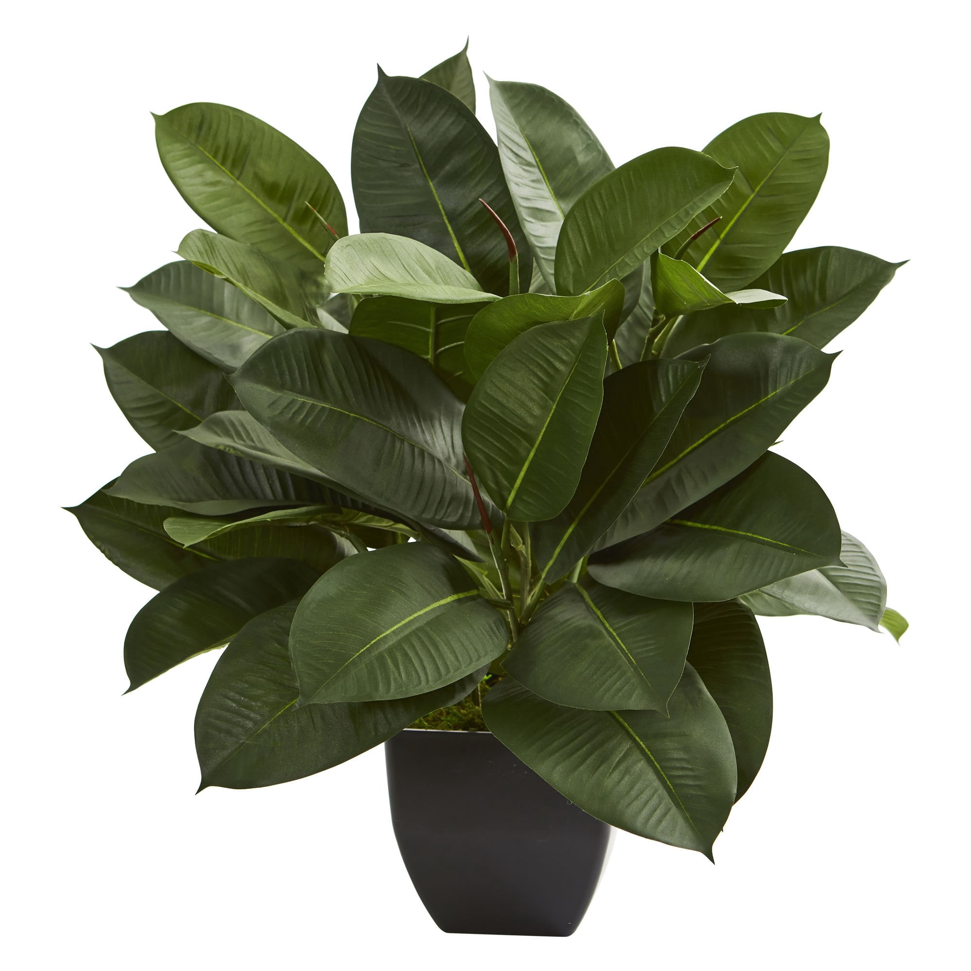 Nearly Natural - Planta Artificial De Ficus De Roble Casi Natural Para Uso En Interiores
