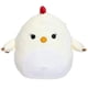 thumbnail image 1 of Peluche Squishmallows Pollo de Caridad 20 cm, 1 of 1
