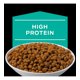 thumbnail image 1 of Alimento para Gatos Pro Plan en Gatroentérico 1,5kg Np, 1 of 2