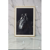 De - Cuadro Caballo Elegante En Blanco Y Negro 60X90Cm