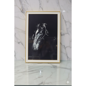 De - Cuadro Caballo Elegante En Blanco Y Negro 60X90Cm