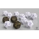 thumbnail image 2 of Set de 12 Dados D12 Coyote & Crow Diseño Elegante, 2 of 2