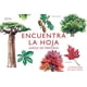 thumbnail image 5 of Juego De Memoria - Encuentra La Hoja, 5 of 7