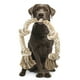 thumbnail image 1 of Juguete de cuerda para perros PetiFine para perros grandes que mastican agresivamente, 1 of 3