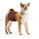 thumbnail image 2 of Pañales lavables para perros machos (paquete de 3). Banda abdominal reutilizable para perros machos, gran absorción de agua y sin fugas. Pañales ajustables, cómodos y duraderos para cachorros., 2 of 6