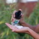 thumbnail image 4 of Jabón Motherlove Baby & All 168 ml Sin Fragancia, 4 of 6