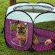 thumbnail image 2 of Corral portátil para perros y tienda para gatos Furhaven morado pequeño, 2 of 9