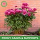 thumbnail image 5 of Estacas de soporte para plantas LEOBRO, 6 piezas, 25 cm x 61 cm, metal, 5 of 7