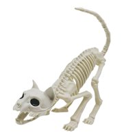 Bothyi - Esqueleto De Gato Para Halloween, Decoración De Huesos De Gato Para Interiores Y Exteriores, Césped Y Patio Trasero.