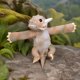 thumbnail image 2 of Peluche WILD REPUBLIC 20 cm Lagartija Cornuda, 2 of 3