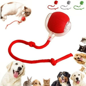 Veat00L - Genérico Interactive Rolling Dog Ball,Rolling Ball Dog Toy,Interactive Cat Toys Rolling Ball Chewy Dog Ball,Chewy Rolling Ball,Motion Activate Fast Rolling On Carpet Toys