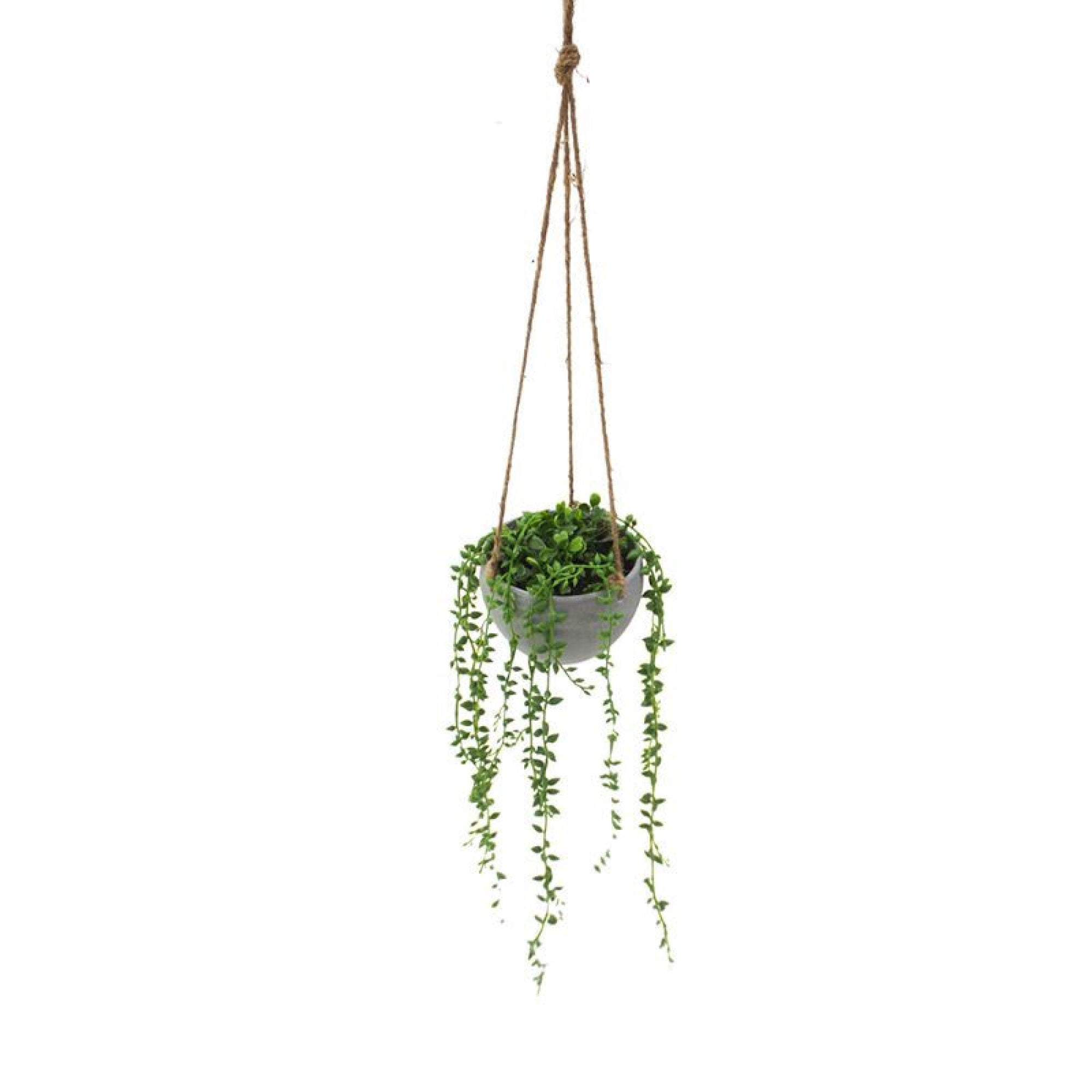 Planta Artificial Enredadera Colgante Gris