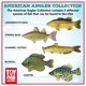 thumbnail image 3 of Set Toy Fish Set Toy Fish Factory American Angler Collection, 3 of 7