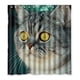 thumbnail image 1 of Cortina de ducha con diseño de animal, mascota, gato gris, con ganchos, tamaño 66 x 72 pulgadas, 1 of 3