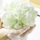 thumbnail image 3 of 4 esponjas exfoliantes de tejido familiar para ducha, bolsa de red, cepillo para bañera, bola exfoliante, cara, cuerpo, bacinilla, espuma rica, 3 of 5