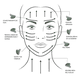 thumbnail image 4 of Set Rodillo Facial Jade + Gua Sha Masaje Reafirmante Rostro, 4 of 9