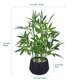 thumbnail image 2 of Planta de bambú artificial 365 Blooming Decor, 45 cm, con maceta negra, 2 of 7