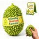 thumbnail image 1 of Juguete Flexible RVBVEZW Durian Crujiente ASMR, 1 of 7