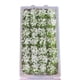 thumbnail image 1 of Caja De Mini Racimos De Flores Blanco, 1 of 3