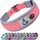 thumbnail image 1 of Collar de perro Joytale acolchado reflectante de neopreno para perros medianos, 1 of 6