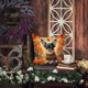 thumbnail image 5 of Almohada Decorativa Tricolor Chihuahua, 5 of 6