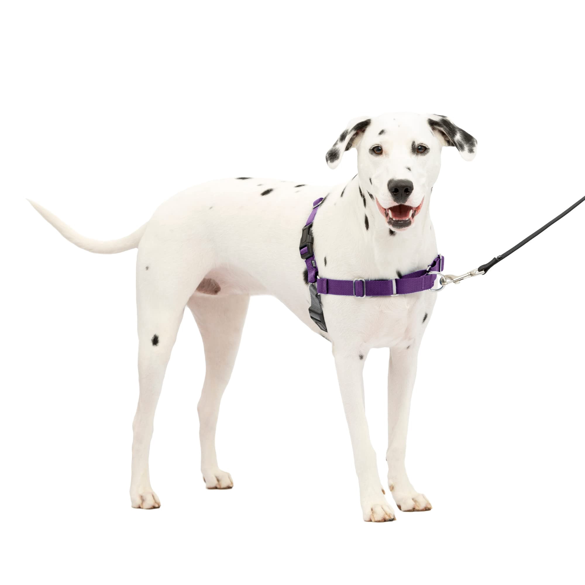 Arnés Para Perros Petsafe Easy Walk, Sin Tirones, Tamaño Medio/grande, Morado