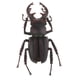 thumbnail image 4 of Juguetes De Animales Recurso Educativo Alta Simulación Insectos Realistas Figura I, 4 of 5