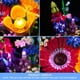 thumbnail image 3 of Kit Luces LED Vonado para Lego Wildflower Bouquet 10313 USB, 3 of 3