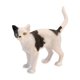 thumbnail image 4 of Educational Discovery Dig MindWare Dig It Up Cats, paquete de 12, 4 of 7
