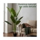 thumbnail image 2 of Planta Artificial Ave Del Paraíso Strelitzia 130 Cm, 2 of 9