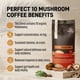 thumbnail image 3 of Café molido PureShrooms Perfect 10 Mezcla de Hongos 340 g, 3 of 8