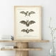 thumbnail image 3 of 1pc Antique Bat Animal Wall Art Canvas Painting for Living Room Home Decoration - Vintage Bat Print Poster with No Frame, 3 of 4