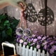 thumbnail image 4 of Bola de cristal transparente, 4 of 6