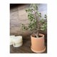thumbnail image 4 of Set de 2 Maceteros Terracota Cilindro con Plato S 13x13 y M 15x15 cm, 4 of 4