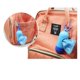 thumbnail image 3 of Dispensador De Bolsas Para Desechos Fecas Para Mascotas, 3 of 5